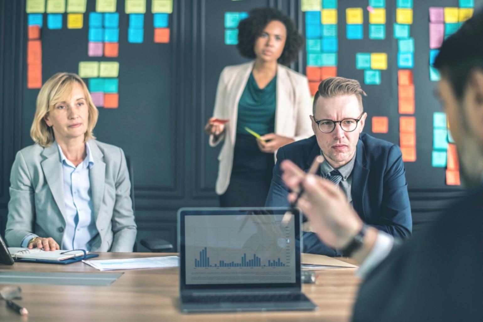 Professional budget management training environment